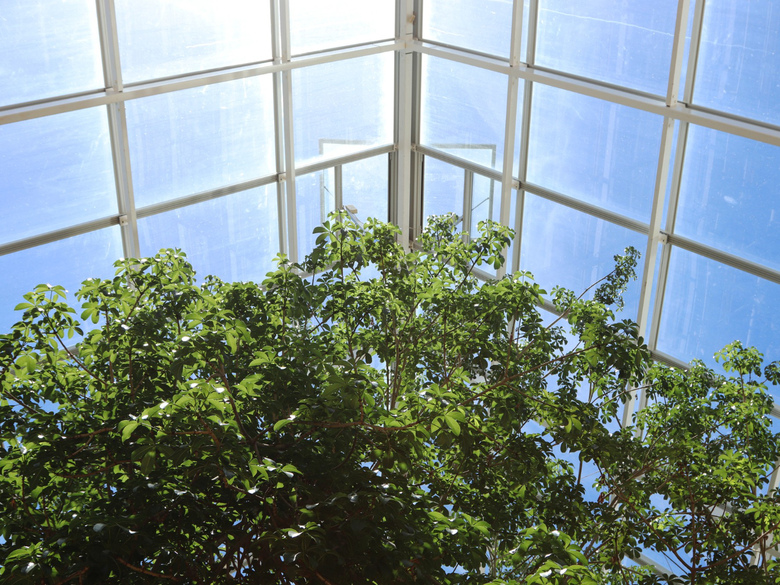 Остекление крыши